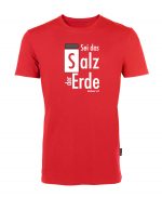 Salz der Erde - Matthäus 5, 13 - Bio-Shirt Männer rundhals – Bild 2